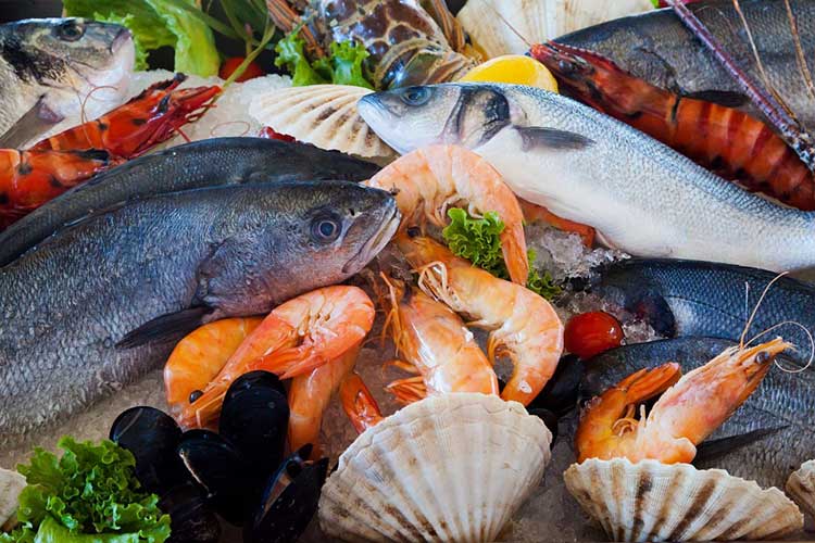 Orlando Sea Food at Sea World